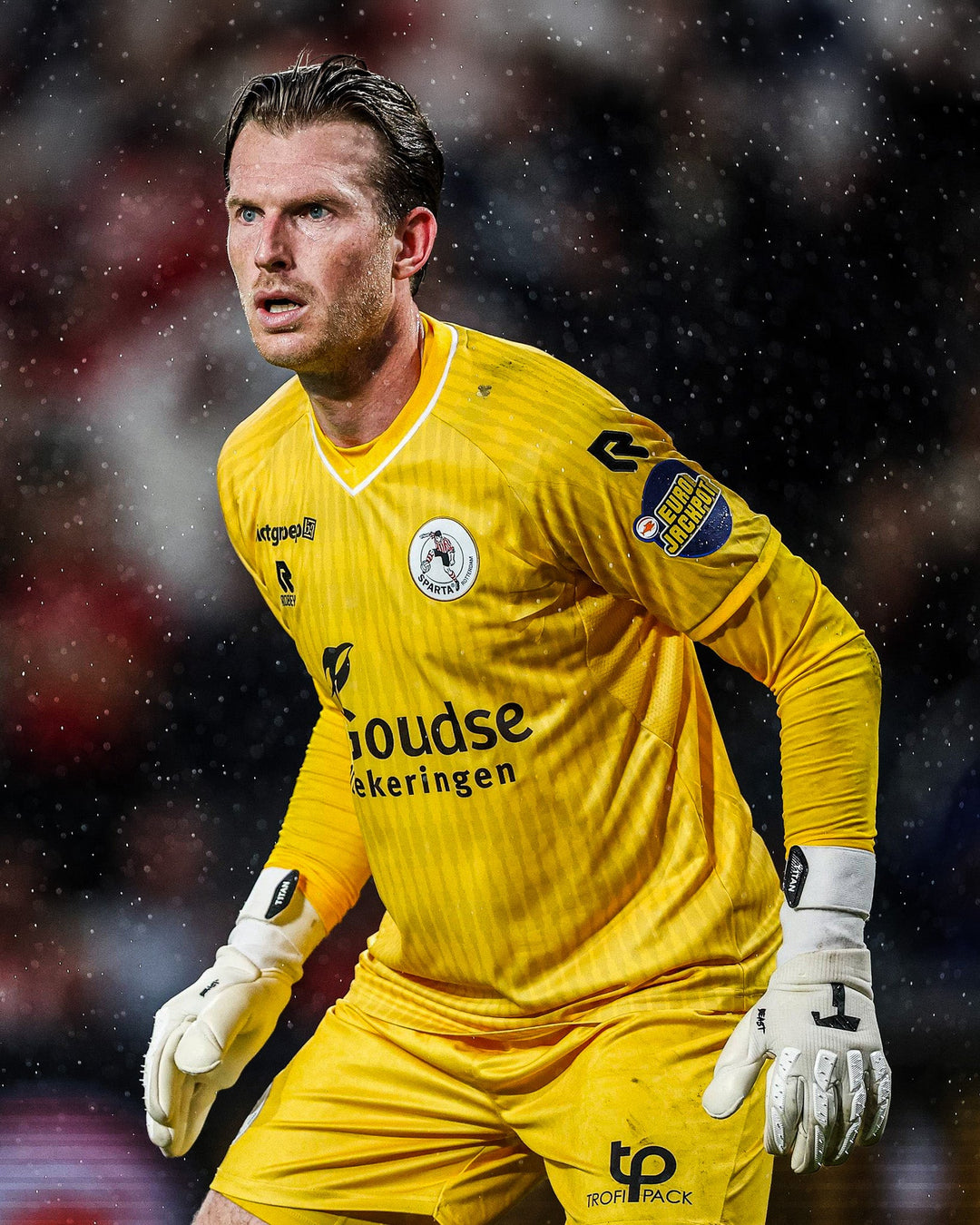 Michael Brouwer